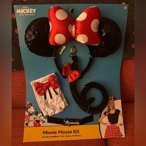 Minnie Mouse Costume Kit, One Size Fits Most, 14+
